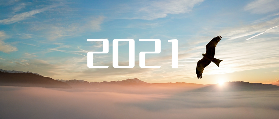 乘“峰”而上，智“盈”未来 ——2021年今年会jinnianhui环境高级资深副总裁新年开工动员